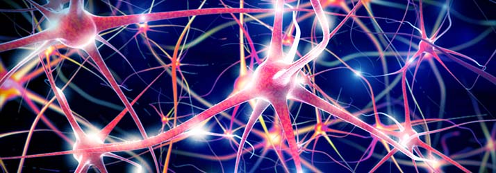 Stem cell myths that might be holding you back in North Scottsdale AZ